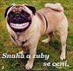 Uživatelský avatar