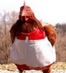 Uživatelský avatar