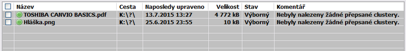RECUVA.png