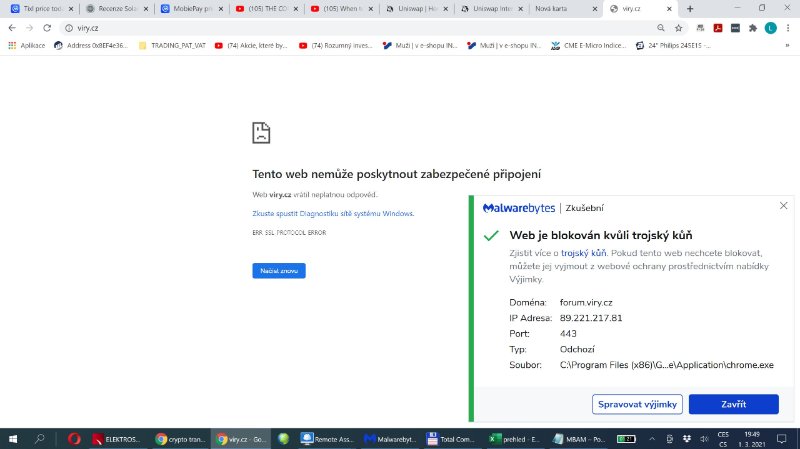 vir_forum.JPG