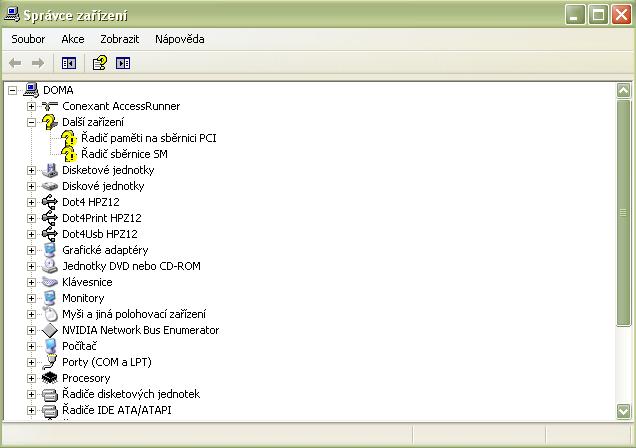 screen Radice.JPG