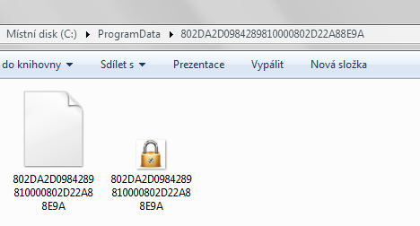 Print screen adresáře